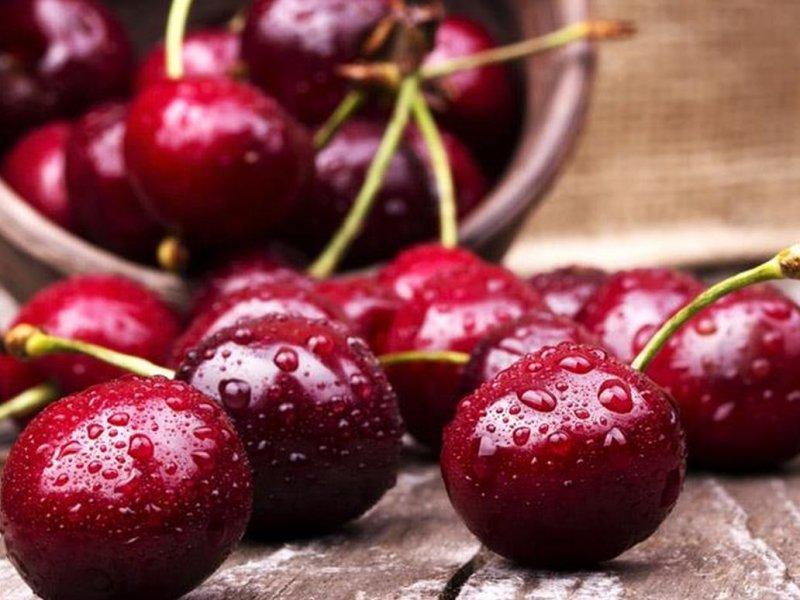 Вишня купить саженцы из питомника в Черемхово